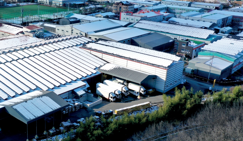 Hana Packaging Factory Overview